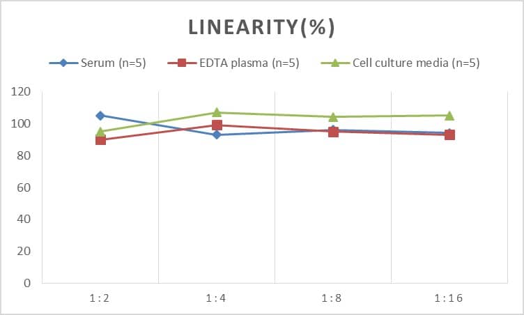 ELISA: Mouse Secretin ELISA Kit (Colorimetric) [NBP2-82434] - Samples were spiked with high concentrations of Mouse Secretin and diluted with Reference Standard & Sample Diluent to produce samples with values within the range of the assay.