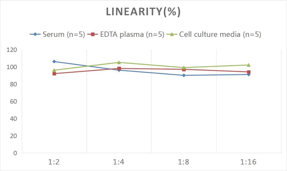 ELISA: Mouse VIP ELISA Kit (Colorimetric) [NBP2-82439] - Samples were spiked with high concentrations of Mouse VIP and diluted with Reference Standard & Sample Diluent to produce samples with values within the range of the assay.