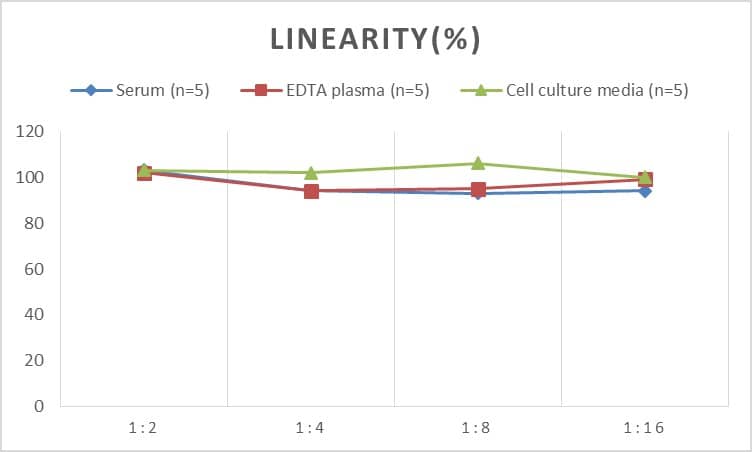 ELISA: Rat Secretin ELISA Kit (Colorimetric) [NBP2-82442] - Samples were spiked with high concentrations of Rat Secretin and diluted with Reference Standard & Sample Diluent to produce samples with values within the range of the assay.