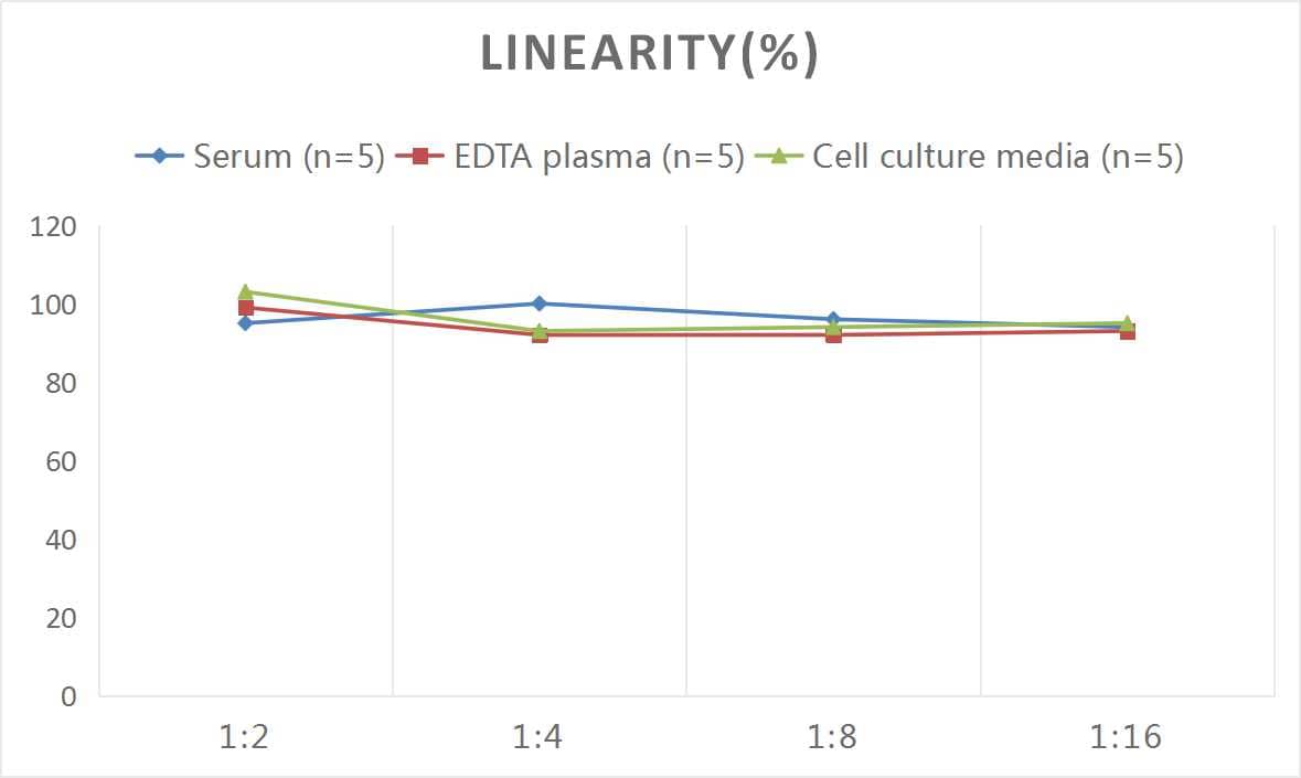 ELISA: Rat Acetylcholinesterase/ACHE ELISA Kit (Colorimetric) [NBP2-82443] - Samples were spiked with high concentrations of Rat Acetylcholinesterase/ACHE and diluted with Reference Standard & Sample Diluent to produce samples with values within the range of the assay.