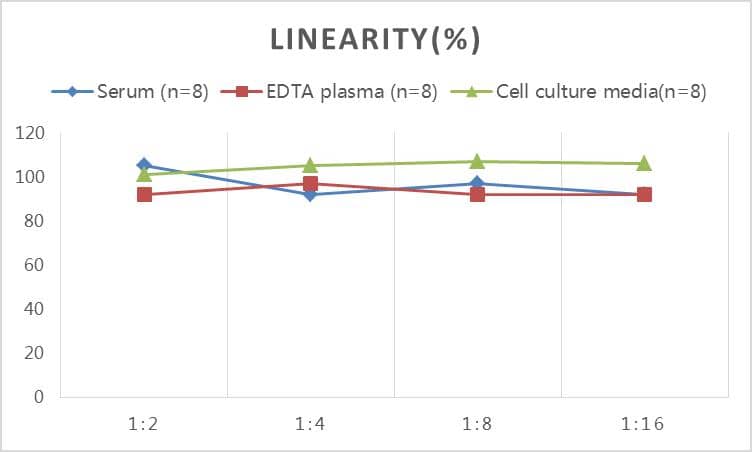 ELISA: Rat beta CTX ELISA Kit (Colorimetric) [NBP2-82449] - Samples were spiked with high concentrations of Rat beta CTX and diluted with Reference Standard & Sample Diluent to produce samples with values within the range of the assay.