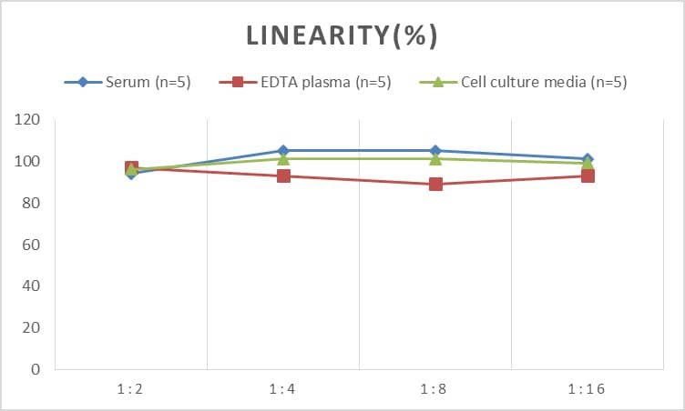 ELISA: Rat CXCL16 ELISA Kit (Colorimetric) [NBP2-82450] - Samples were spiked with high concentrations of Rat CXCL16 and diluted with Reference Standard & Sample Diluent to produce samples with values within the range of the assay.