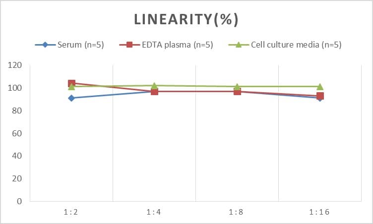 ELISA Human DSIP ELISA Kit (Colorimetric)