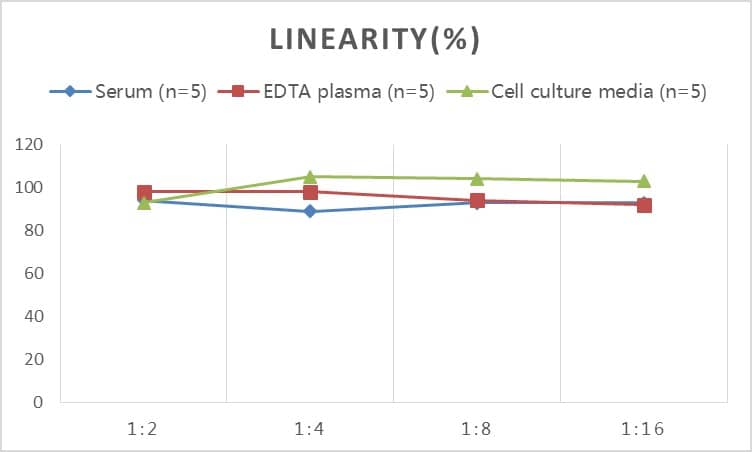 ELISA: Rat DHEA-Sulfate ELISA Kit (Colorimetric) [NBP2-82460] - Samples were spiked with high concentrations of Rat DHEA-Sulfate and diluted with Reference Standard & Sample Diluent to produce samples with values within the range of the assay.