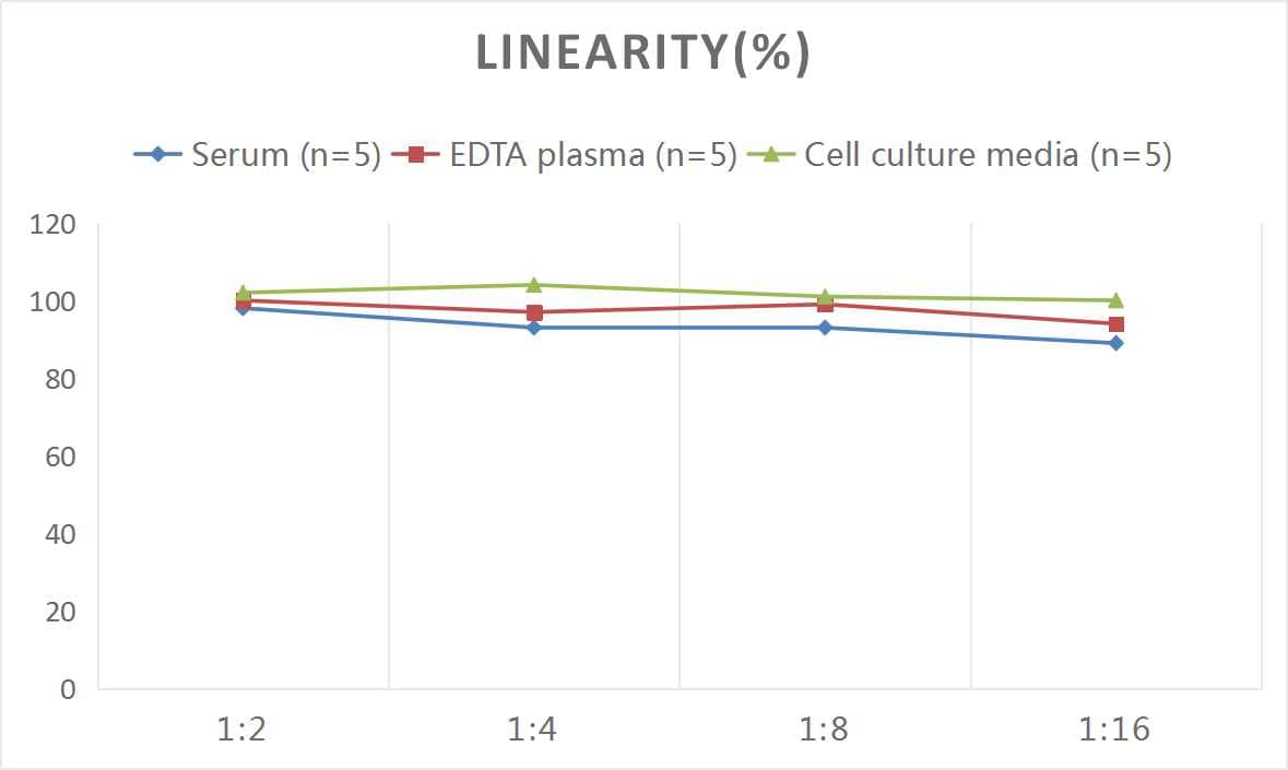 ELISA: Rat VIP ELISA Kit (Colorimetric) [NBP2-82466] - Samples were spiked with high concentrations of Rat VIP and diluted with Reference Standard & Sample Diluent to produce samples with values within the range of the assay.