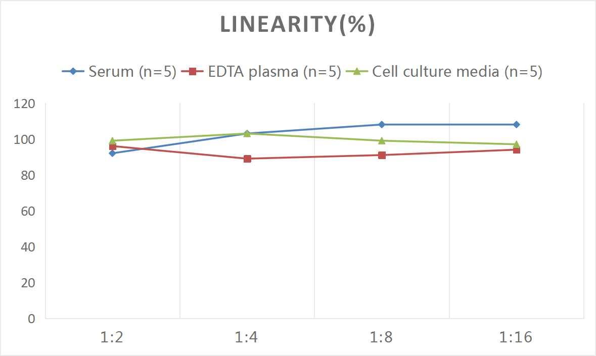 ELISA: Rat Erythropoietin/EPO ELISA Kit (Colorimetric) [NBP2-82472] - Samples were spiked with high concentrations of Rat Erythropoietin/EPO and diluted with Reference Standard & Sample Diluent to produce samples with values within the range of the assay.