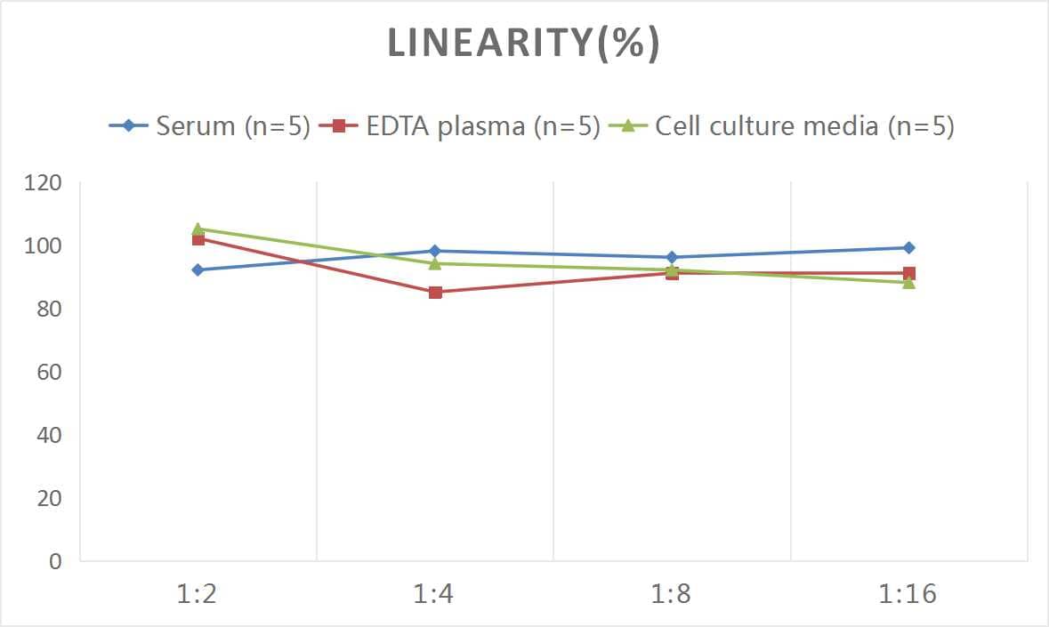 ELISA: Rat Factor V ELISA Kit (Colorimetric) [NBP2-82479] - Samples were spiked with high concentrations of Rat Factor V and diluted with Reference Standard & Sample Diluent to produce samples with values within the range of the assay.