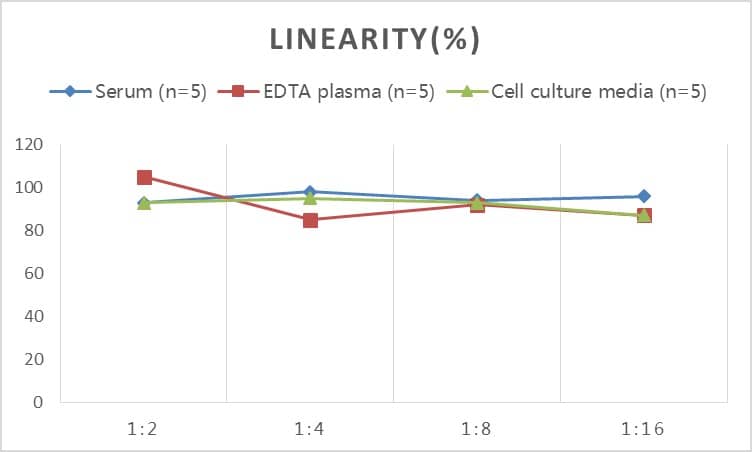 ELISA: Human Elastase ELISA Kit (Colorimetric) [NBP2-82489] - Samples were spiked with high concentrations of Human Elastase and diluted with Reference Standard & Sample Diluent to produce samples with values within the range of the assay.