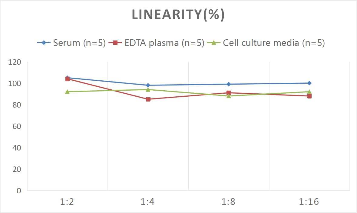 ELISA: Rat Fatty Acid Synthase/FASN ELISA Kit (Colorimetric) [NBP2-82490] - Samples were spiked with high concentrations of Rat Fatty Acid Synthase/FASN and diluted with Reference Standard & Sample Diluent to produce samples with values within the range of the assay.