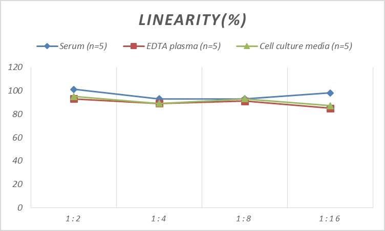 ELISA: Rat Proadrenomedullin/Pro-ADM ELISA Kit (Colorimetric) [NBP2-82495] - Samples were spiked with high concentrations of Rat Proadrenomedullin/Pro-ADM and diluted with Reference Standard & Sample Diluent to produce samples with values within the range of the assay.