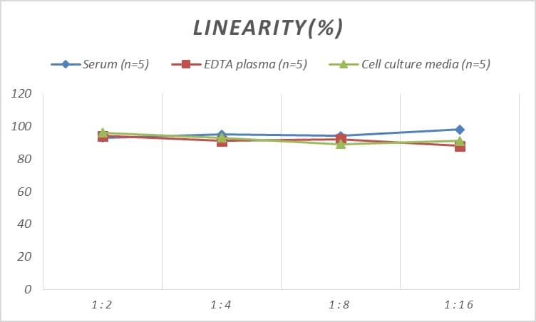 ELISA: Rat PYGL ELISA Kit (Colorimetric) [NBP2-82501] - Samples were spiked with high concentrations of Rat PYGL and diluted with Reference Standard & Sample Diluent to produce samples with values within the range of the assay.