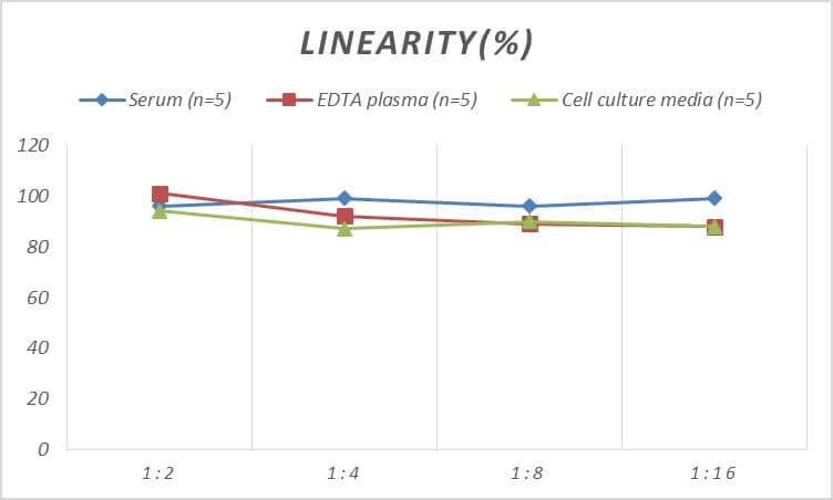 ELISA Rat Glycogen phosphorylase, muscle form ELISA Kit (Colorimetric)