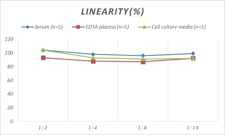 ELISA: Rat Reelin ELISA Kit (Colorimetric) [NBP2-82503] - Samples were spiked with high concentrations of Rat Reelin and diluted with Reference Standard & Sample Diluent to produce samples with values within the range of the assay.