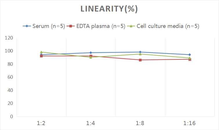 ELISA: Human Fatty acid desaturase 2 ELISA Kit (Colorimetric) [NBP2-82511] - Samples were spiked with high concentrations of Human Fatty acid desaturase 2 and diluted with Reference Standard & Sample Diluent to produce samples with values within the range of the assay.