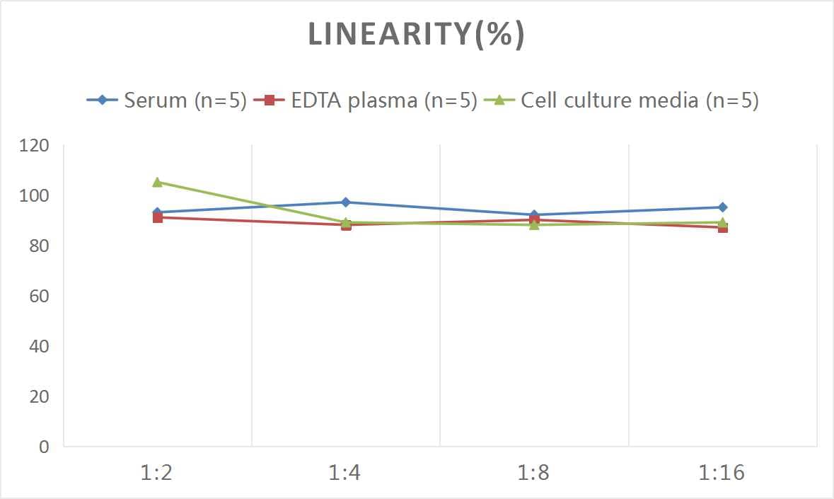 ELISA Human Pancreatic Polypeptide/PP ELISA Kit (Colorimetric)