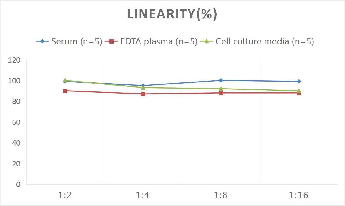 ELISA: Human Pepsin ELISA Kit (Colorimetric) [NBP2-82516] - Samples were spiked with high concentrations of Human Pepsin and diluted with Reference Standard & Sample Diluent to produce samples with values within the range of the assay.