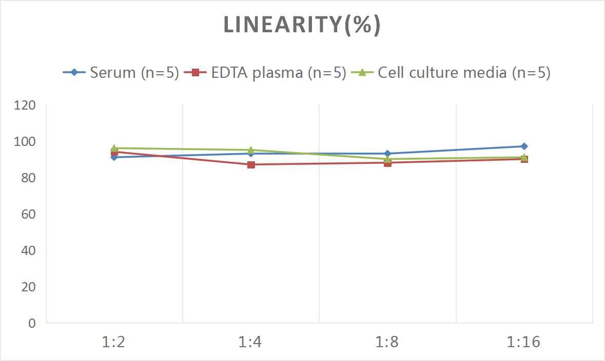 ELISA: Human Proadrenomedullin/Pro-ADM ELISA Kit (Colorimetric) [NBP2-82517] - Samples were spiked with high concentrations of Human Proadrenomedullin/Pro-ADM and diluted with Reference Standard & Sample Diluent to produce samples with values within the range of the assay.