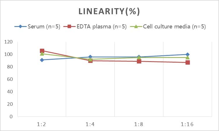 ELISA Human Glycogen phosphorylase, muscle form ELISA Kit (Colorimetric)