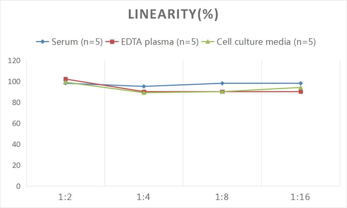 ELISA: Human RCN1 ELISA Kit (Colorimetric) [NBP2-82527] - Samples were spiked with high concentrations of Human RCN1 and diluted with Reference Standard & Sample Diluent to produce samples with values within the range of the assay.