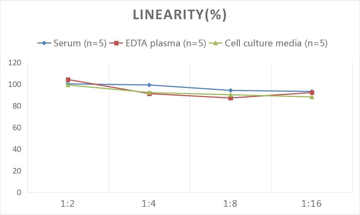 ELISA: Human Reelin ELISA Kit (Colorimetric) [NBP2-82529] - Samples were spiked with high concentrations of Human Reelin and diluted with Reference Standard & Sample Diluent to produce samples with values within the range of the assay.