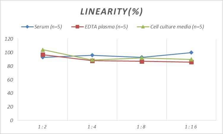 ELISA: Human Renalase ELISA Kit (Colorimetric) [NBP2-82530] - Samples were spiked with high concentrations of Human Renalase and diluted with Reference Standard & Sample Diluent to produce samples with values within the range of the assay.