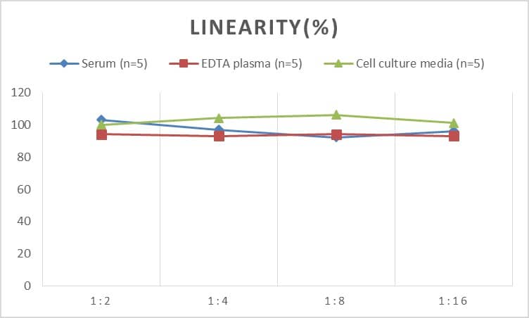 ELISA: Human Secretin ELISA Kit (Colorimetric) [NBP2-82534] - Samples were spiked with high concentrations of Human Secretin and diluted with Reference Standard & Sample Diluent to produce samples with values within the range of the assay.