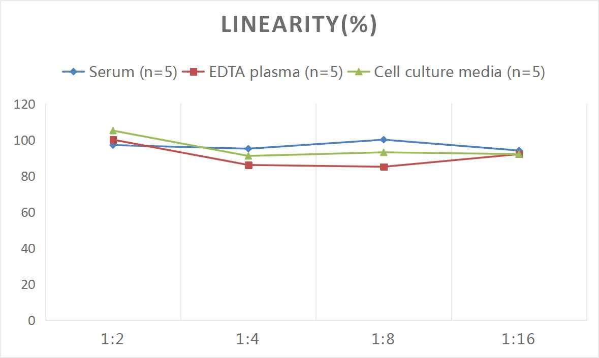 ELISA: Human Small Dense LDL ELISA Kit (Colorimetric) [NBP2-82535] - Samples were spiked with high concentrations of Human Small Dense LDL and diluted with Reference Standard & Sample Diluent to produce samples with values within the range of the assay.