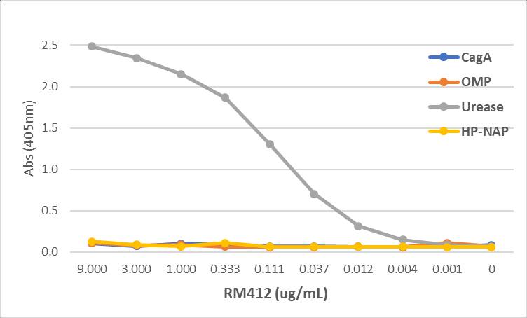 ELISA: Helicobacter pylori urease B Antibody (RM412) [NBP2-89103]