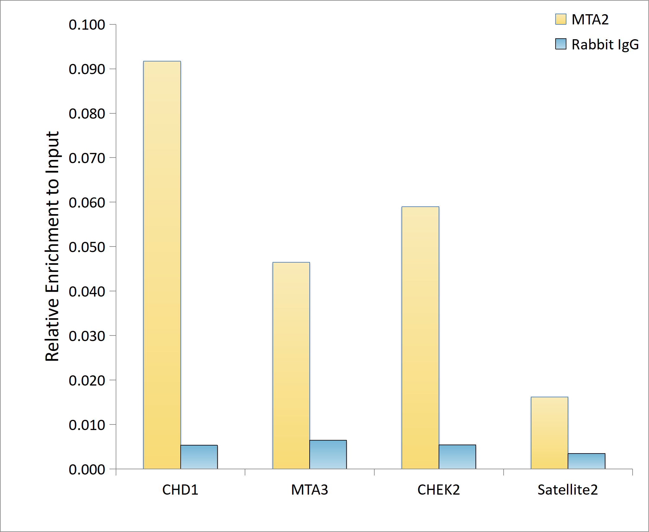 <b>Genetic Strategies Validation. </b>Chromatin Immunoprecipitation: MTA2 Antibody - Azide and BSA Free [MTA2] - Chromatin immunoprecipitation analysis of extracts of HeLa cells, using MTA2 antibody  and rabbit IgG.The amount of immunoprecipitated DNA was checked by quantitative PCR. Histogram was constructed by the ratios of the immunoprecipitated DNA to the input.