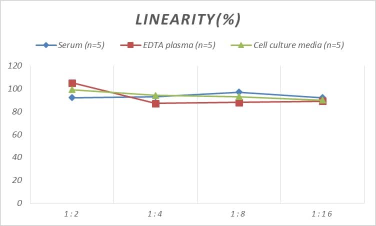 ELISA Human Cathepsin V ELISA Kit (Colorimetric)