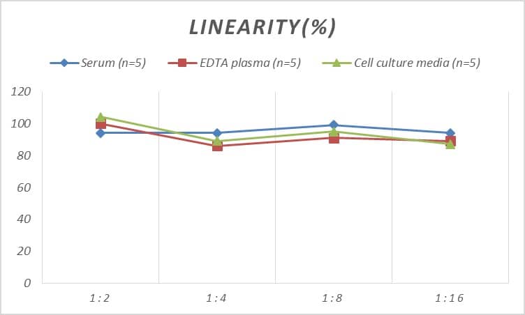 ELISA: Human EphA10 ELISA Kit (Colorimetric) [NBP3-00378] - Samples were spiked with high concentrations of Human EphA10 and diluted with Reference Standard & Sample Diluent to produce samples with values within the range of the assay.