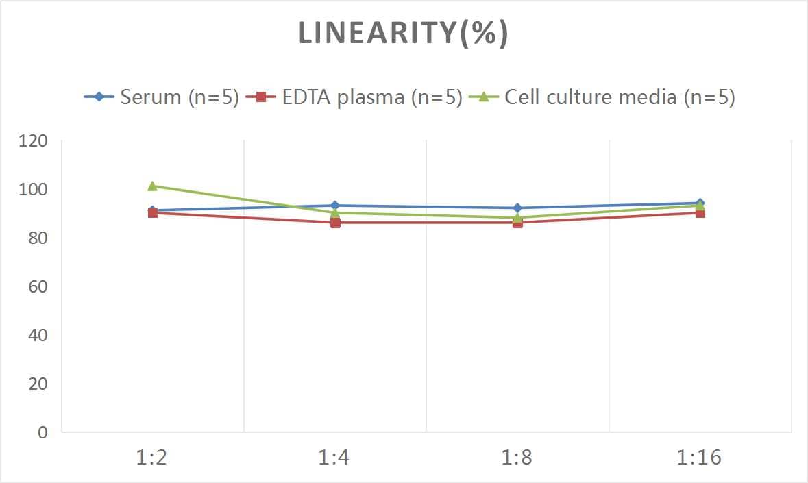 ELISA Human IgG Fc ELISA Kit (Colorimetric)