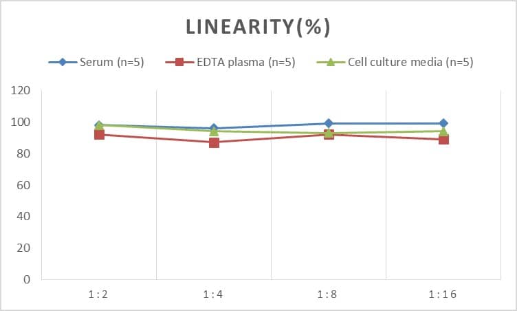 ELISA: Human Fc gamma RIIIA/CD16a ELISA Kit (Colorimetric) [NBP3-00383] - Samples were spiked with high concentrations of Human Fc gamma RIIIA/CD16a and diluted with Reference Standard & Sample Diluent to produce samples with values within the range of the assay.