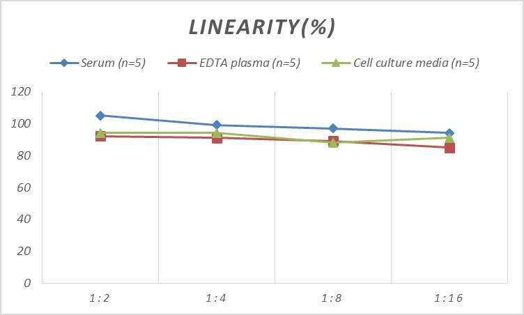 ELISA: Human Frizzled-8 ELISA Kit (Colorimetric) [NBP3-00385] - Samples were spiked with high concentrations of Human Frizzled-8 and diluted with Reference Standard & Sample Diluent to produce samples with values within the range of the assay.