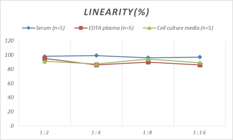 ELISA: Human GATA-4 ELISA Kit (Colorimetric) [NBP3-00389] - Samples were spiked with high concentrations of Human GATA-4 and diluted with Reference Standard & Sample Diluent to produce samples with values within the range of the assay.