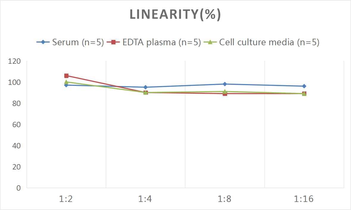 ELISA: Human Serpin E2/PN1 ELISA Kit (Colorimetric) [NBP3-00391] - Samples were spiked with high concentrations of Human Serpin E2/PN1 and diluted with Reference Standard & Sample Diluent to produce samples with values within the range of the assay.