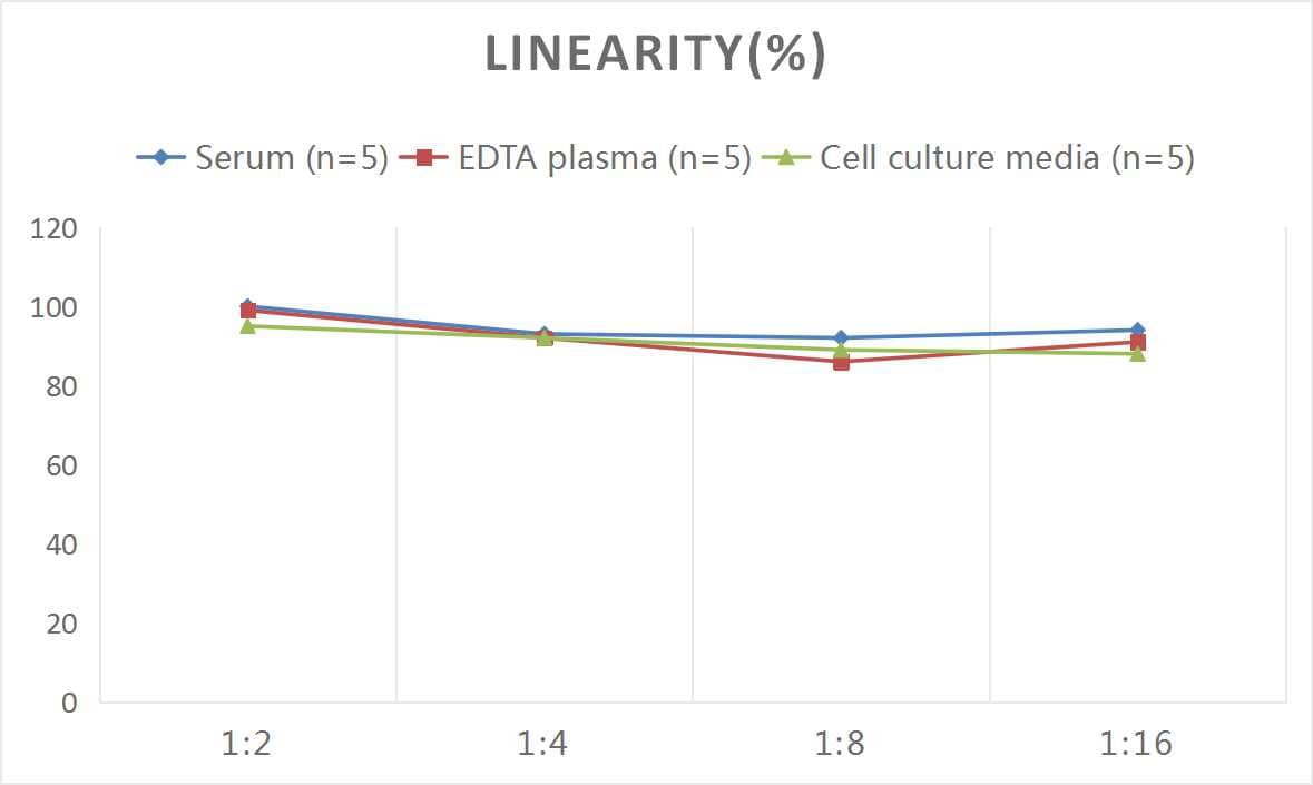 ELISA: Human HLA A ELISA Kit (Colorimetric) [NBP3-00393] - Samples were spiked with high concentrations of Human HLA A and diluted with Reference Standard & Sample Diluent to produce samples with values within the range of the assay.