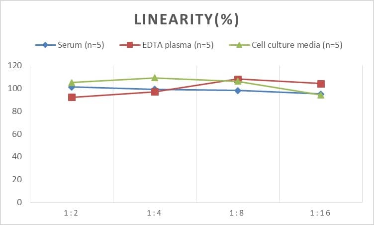 ELISA: Human HLA A ELISA Kit (Chemiluminescence) [NBP3-00394] - Samples were spiked with high concentrations of Human HLA A and diluted with Reference Standard & Sample Diluent to produce samples with values within the range of the assay.