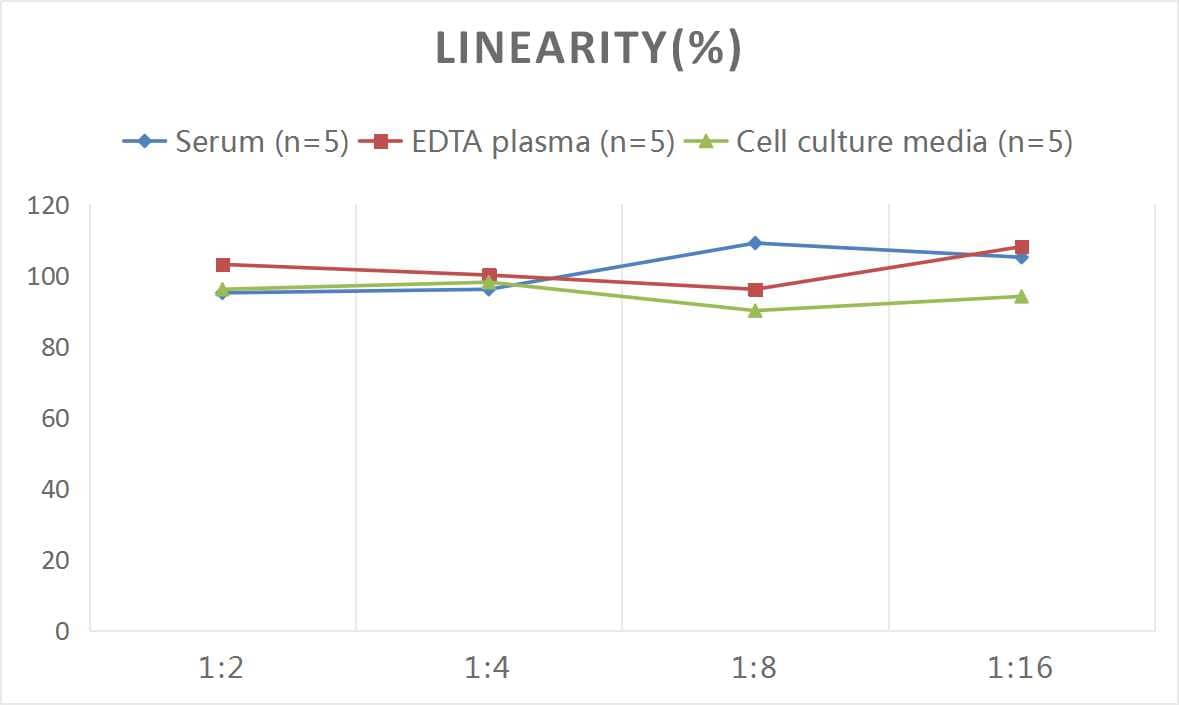 ELISA: Human IgG ELISA Kit (Chemiluminescence) [NBP3-00400] - Samples were spiked with high concentrations of Human IgG and diluted with Reference Standard & Sample Diluent to produce samples with values within the range of the assay.