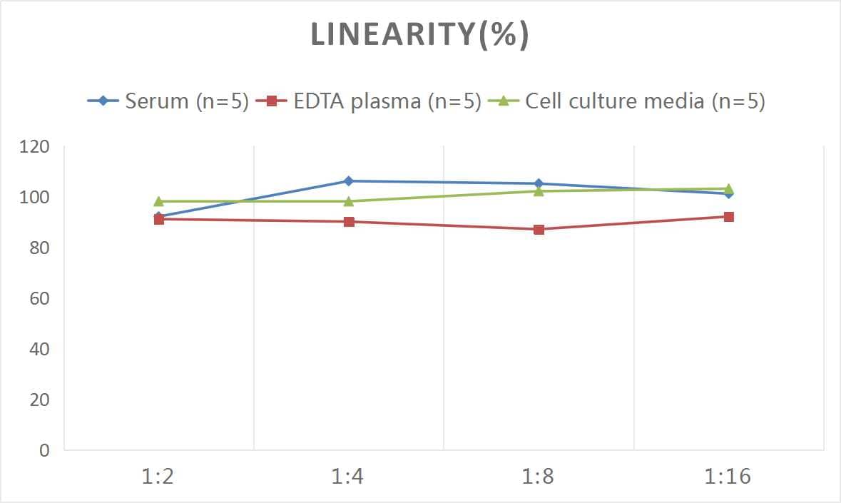 ELISA Human IgG2 ELISA Kit (Colorimetric)