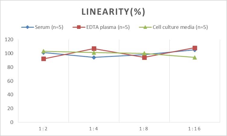 ELISA Human IgG2 ELISA Kit (Chemiluminescence)