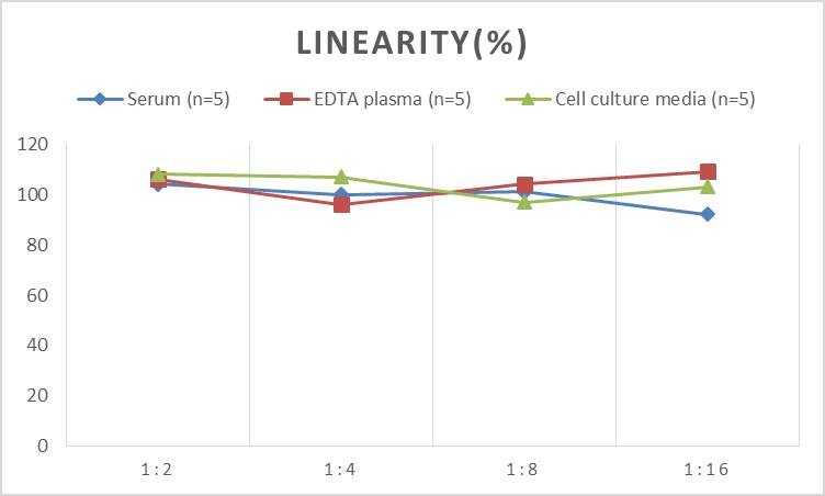 ELISA: Human IgG4 ELISA Kit (Chemiluminescence) [NBP3-00407] - Samples were spiked with high concentrations of Human IgG4 and diluted with Reference Standard & Sample Diluent to produce samples with values within the range of the assay.