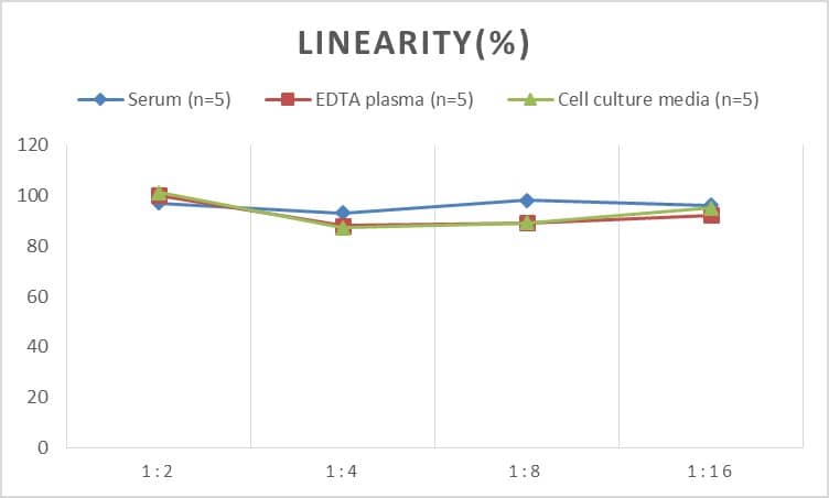 ELISA Human LRP-6 ELISA Kit (Colorimetric)