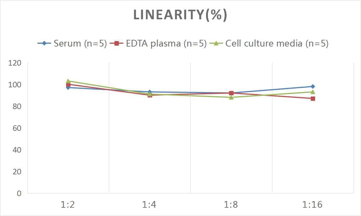 ELISA: Human WISP-1/CCN4 ELISA Kit (Colorimetric) [NBP3-00420] - Samples were spiked with high concentrations of Human WISP-1/CCN4 and diluted with Reference Standard & Sample Diluent to produce samples with values within the range of the assay.