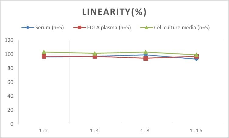 ELISA: Monkey Fibrinogen ELISA Kit (Colorimetric) [NBP3-00422] - Samples were spiked with high concentrations of Monkey Fibrinogen and diluted with Reference Standard & Sample Diluent to produce samples with values within the range of the assay.