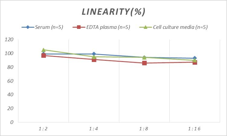 ELISA: Mouse GATA-4 ELISA Kit (Colorimetric) [NBP3-00434] - Samples were spiked with high concentrations of Mouse GATA-4 and diluted with Reference Standard & Sample Diluent to produce samples with values within the range of the assay.