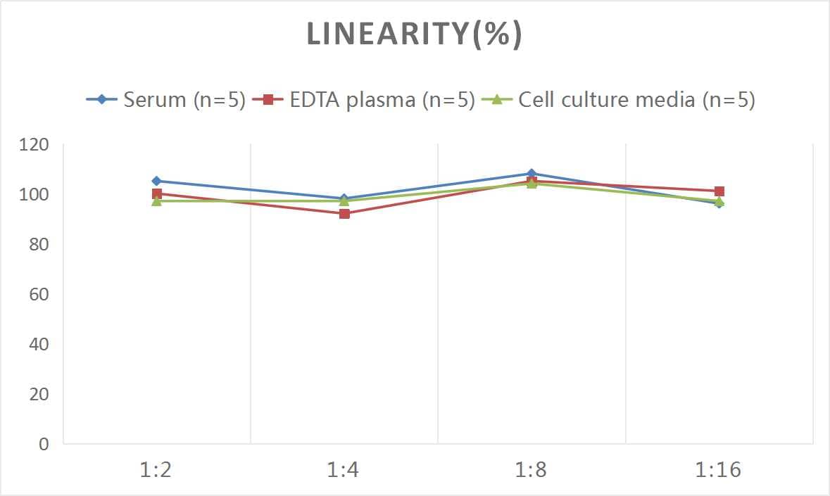 ELISA: Mouse IgG ELISA Kit (Chemiluminescence) [NBP3-00441] - Samples were spiked with high concentrations of Mouse IgG and diluted with Reference Standard & Sample Diluent to produce samples with values within the range of the assay.