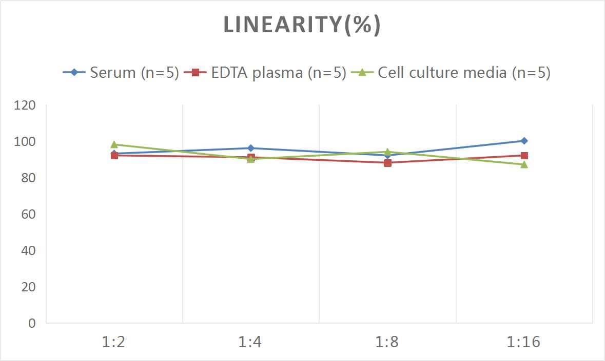 ELISA: Mouse Perforin ELISA Kit (Colorimetric) [NBP3-00452] - Samples were spiked with high concentrations of Mouse Perforin and diluted with Reference Standard & Sample Diluent to produce samples with values within the range of the assay.