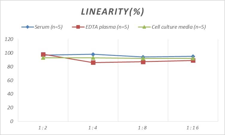 ELISA: Rat GATA-3 ELISA Kit (Colorimetric) [NBP3-00467] - Samples were spiked with high concentrations of Rat GATA-3 and diluted with Reference Standard & Sample Diluent to produce samples with values within the range of the assay.