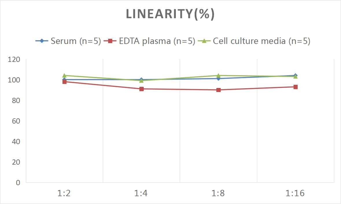 ELISA: Rat IgG ELISA Kit (Colorimetric) [NBP3-00473] - Samples were spiked with high concentrations of Rat IgG and diluted with Reference Standard & Sample Diluent to produce samples with values within the range of the assay.